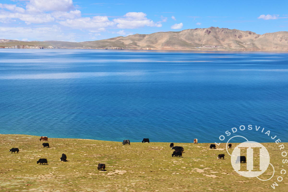 Vistas desde el tren transtibetano