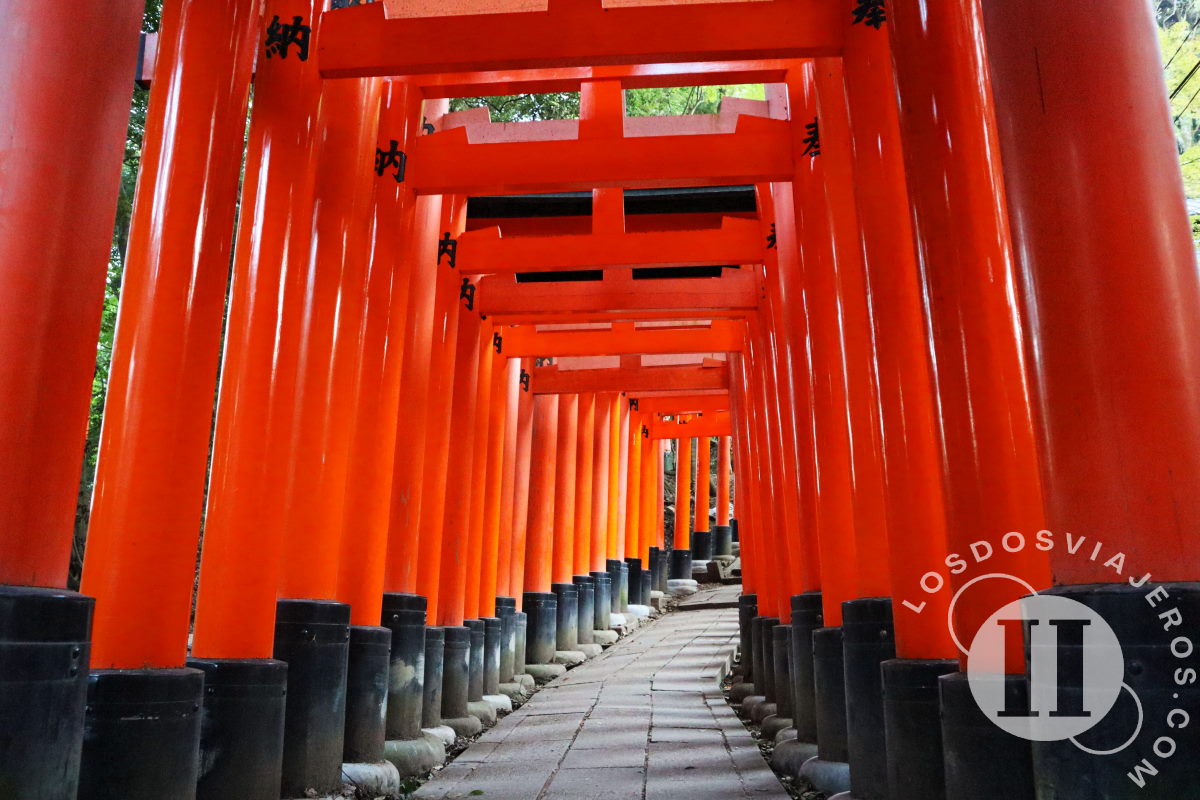 Qué ver en Kioto: madrugando para ver Inari Taisha