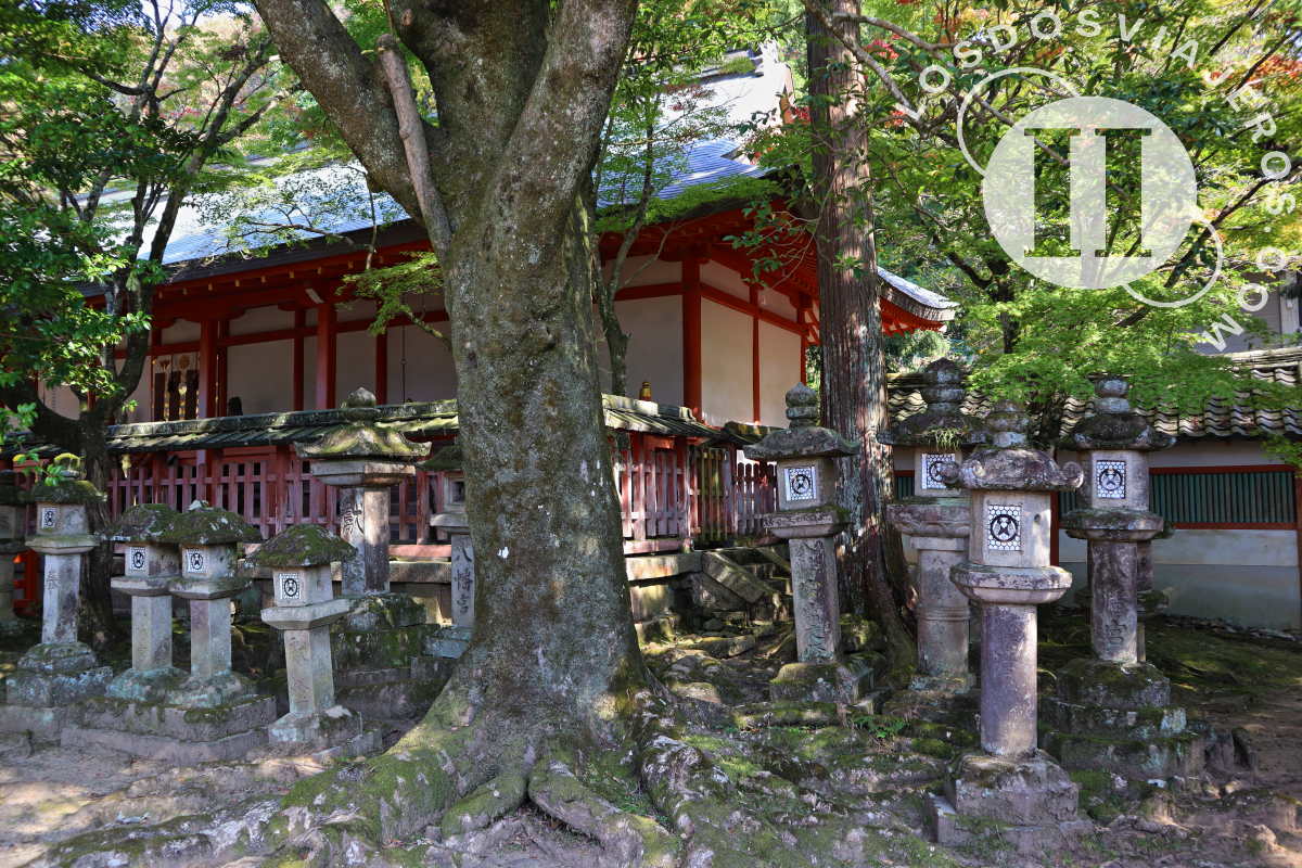 Santuario Tamukeyama Hachiman Gu