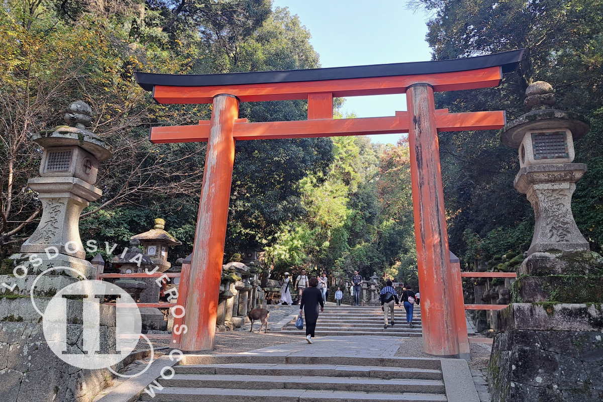 Segundo Torii
