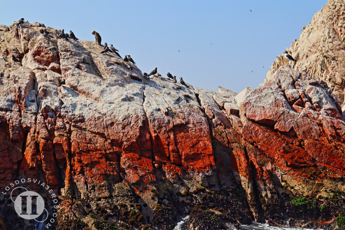Rocas llenas de guano