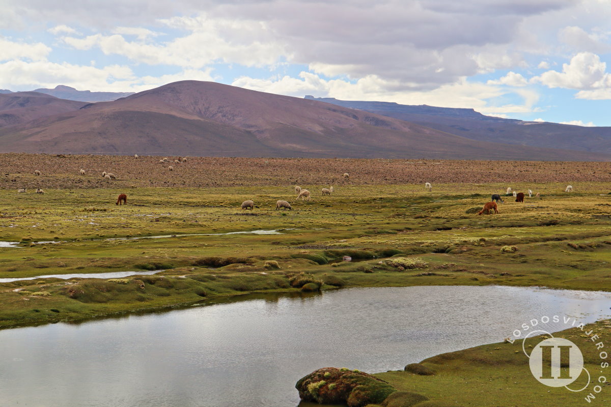Paisaje Reserva Nacional de Salinas