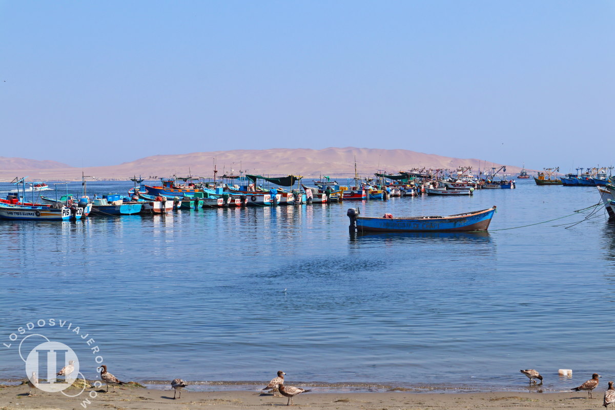 Puerto pesquero de Paracas