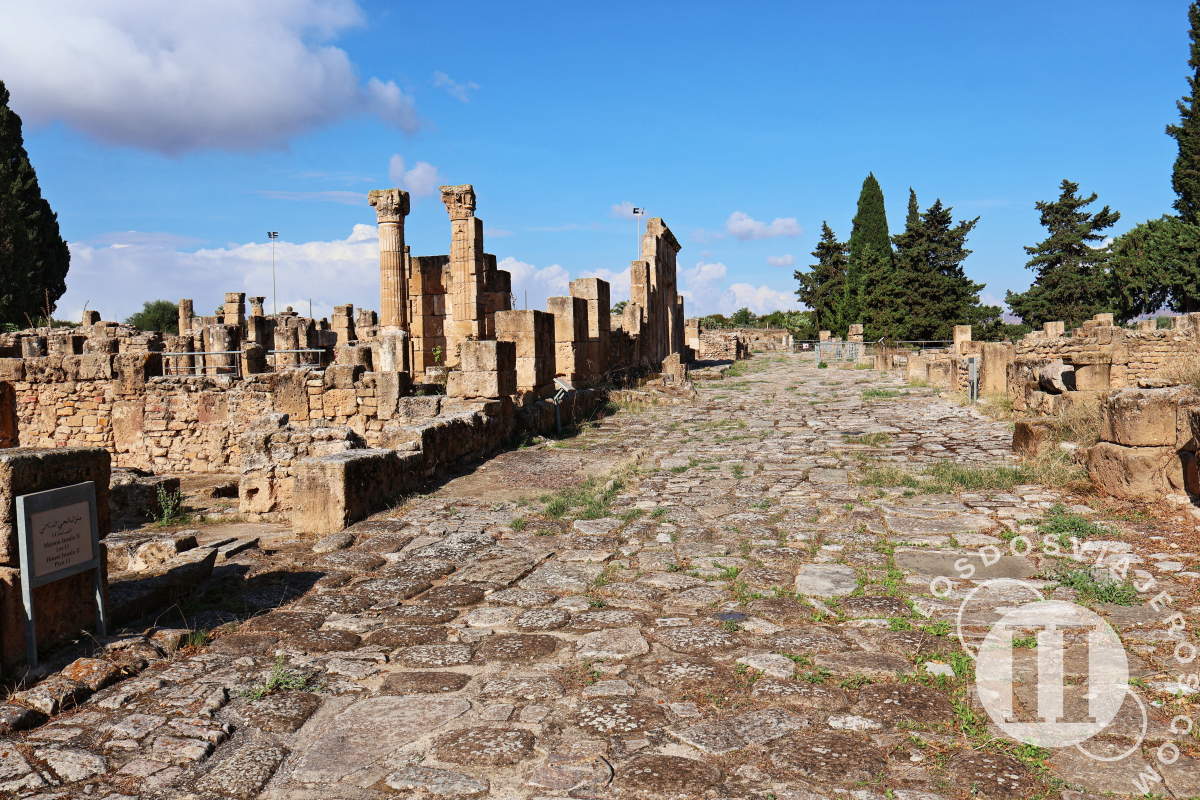 Qué ver en Túnez: Las Ruinas de Útica